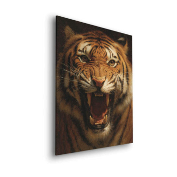 Retrato de tigre rugiente - cuadro Dibond mate