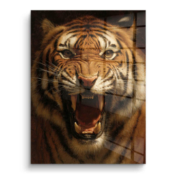 Retrato de tigre rugiente - cuadro PVC brillante