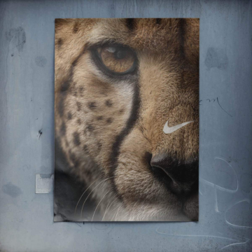 Retrato guepardo inspirado en Nike - póster