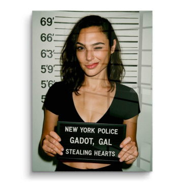 Gal Gadot Inspired Mugshot PVC Gloss Art