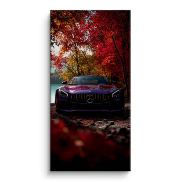 Mercedes AMG Autumn Road Canvas Art