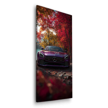 Mercedes AMG Autumn Road Dibond Matt Art