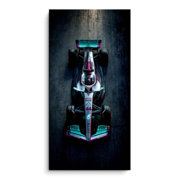 Mercedes AMG Inspired F1 Race Car PVC Matt Art