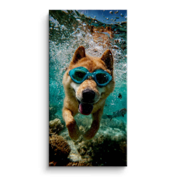 Schwimmend Hundeporträt - Leinwandbild