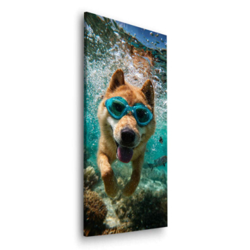 Schwimmend Hundeporträt - Dibond-Bild matt