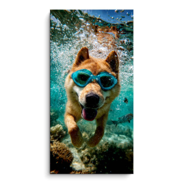 Schwimmend Hundeporträt - PVC-Bild matt