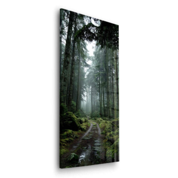 Nebliger Waldpfad - Acrylglasbild