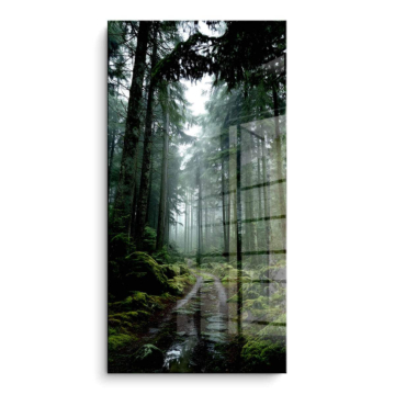 Sendero en bosque brumoso - cuadro PVC brillante