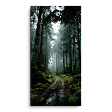Nebliger Waldpfad - PVC-Bild matt