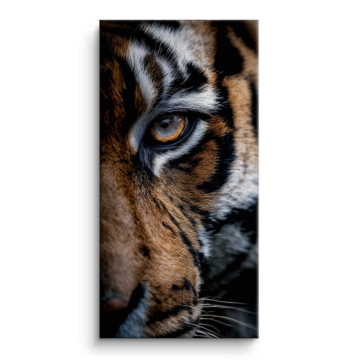 Tigerauge in Nahaufnahme - Leinwandbild