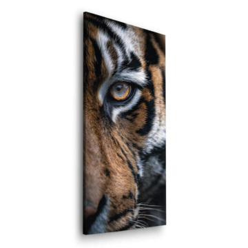 Primer plano del ojo de un tigre - cuadro Dibond mate
