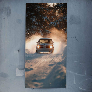 Bmw neige virée - poster
