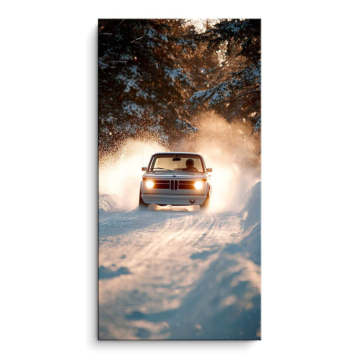 Ruta BMW nieve - cuadro PVC mate