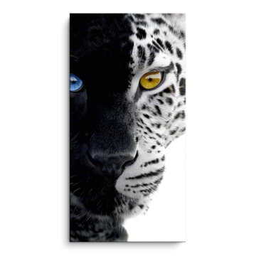 Snow Leopard Gaze PVC Matt Art