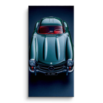 Zehari Inspired Silver Roadster Canvas Art