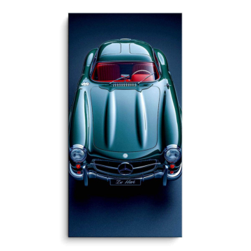Mercedes 300 SL roadster plateado - cuadro PVC mate