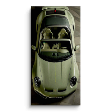 Lohari Inspired Green Roadster Canvas Art