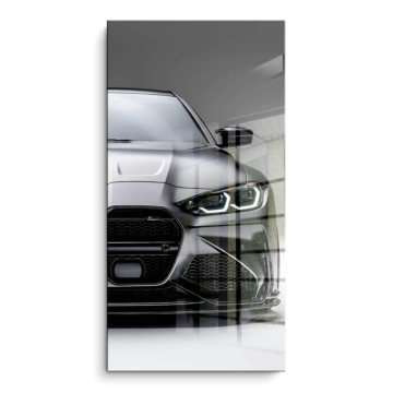 Frontal inspirado en BMW M4 CSL - cuadro PVC brillante