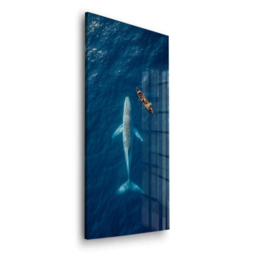 Whale Watching Aerial Acrylic Glass Art