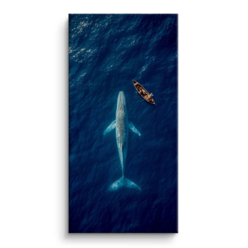 Whale Watching Aerial Canvas Art