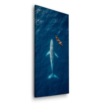 Whale Watching Aerial Dibond Matt Art