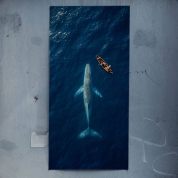 Whale Watching Aerial - póster