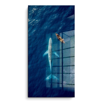 Whale Watching Aerial - cuadro PVC brillante