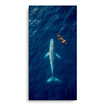 Whale Watching Aerial - cuadro PVC mate