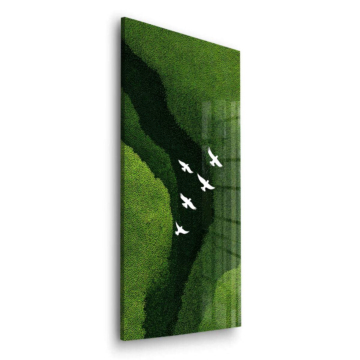 Weiße Vögel über grünen Hügeln - Acrylglasbild