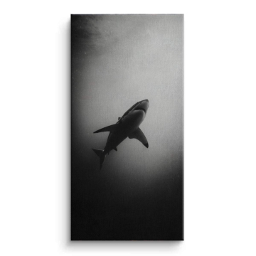 Deep Water Shark Canvas Art