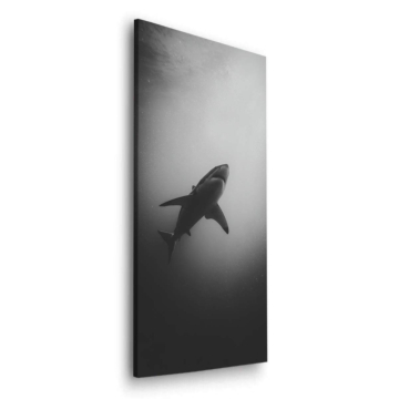 Deep Water Shark Dibond Matt Art