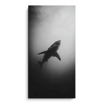 Deep Water Shark - cuadro PVC mate