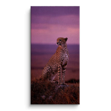Cheetah Sonnenuntergang Porträt - Leinwandbild