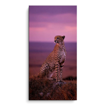 Cheetah Sonnenuntergang Porträt - PVC-Bild matt