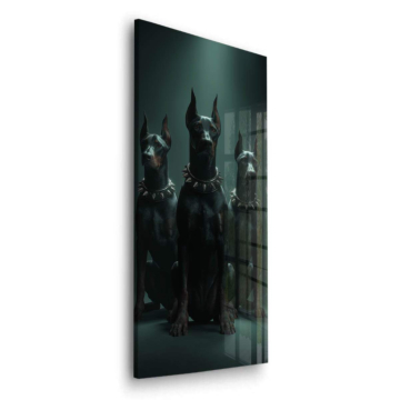 Dobermann-Rudel im Schatten - Acrylglasbild