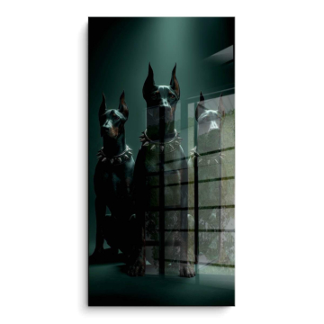 Dobermann-Rudel im Schatten - PVC-Bild glänzend