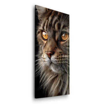 Nahaufnahme Katze Auge - Acrylglasbild