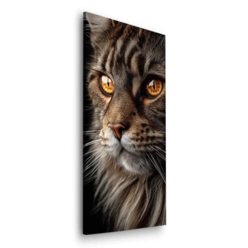 Nahaufnahme Katze Auge - Dibond-Bild matt