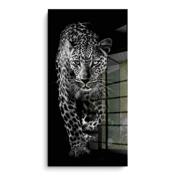Retrato de leopardo negro - cuadro PVC brillante