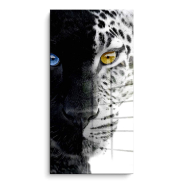 Nieve leopardo ojo - cuadro PVC brillante