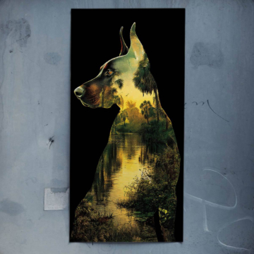 Silhouette eines Hundes im Wald - Poster