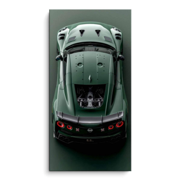 Nissan GT-R Inspired Sports Car PVC Matt Art
