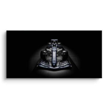Mercedes Formula 1 Shadow Canvas Art