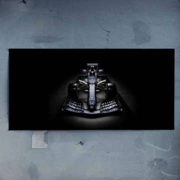 Mercedes Fórmula 1 en sombra - póster