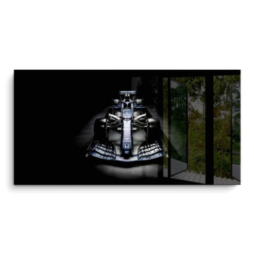 Mercedes Formel-1 Schatte - PVC-Bild glänzend