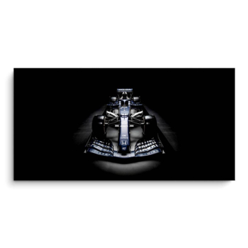 Mercedes Formel-1 Schatte - PVC-Bild matt