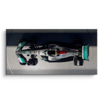 Alpine Formula 1 Top View Canvas Art
