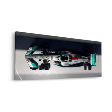 Alpine Formel-1 Draufsich - Dibond-Bild matt
