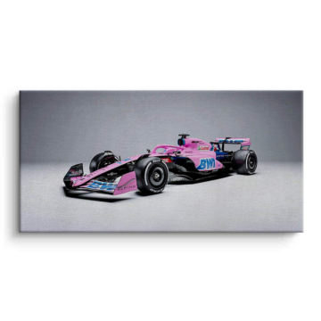 Alpine BWT Pink Racer Canvas Art