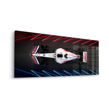 Haas Formel-1 Draufsich - Acrylglasbild